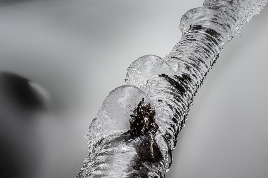 “Frozen Time”
