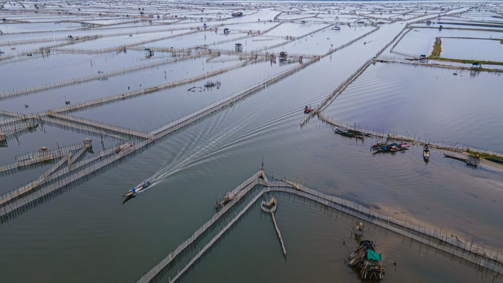 Floating fish farms