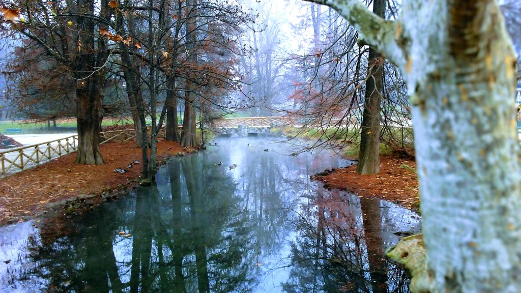 At the park in a misty morning