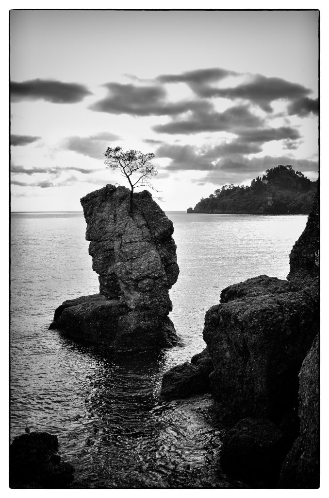 Solitario
