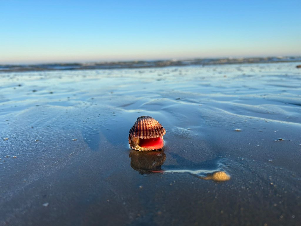 I Colori del mare d’inverno