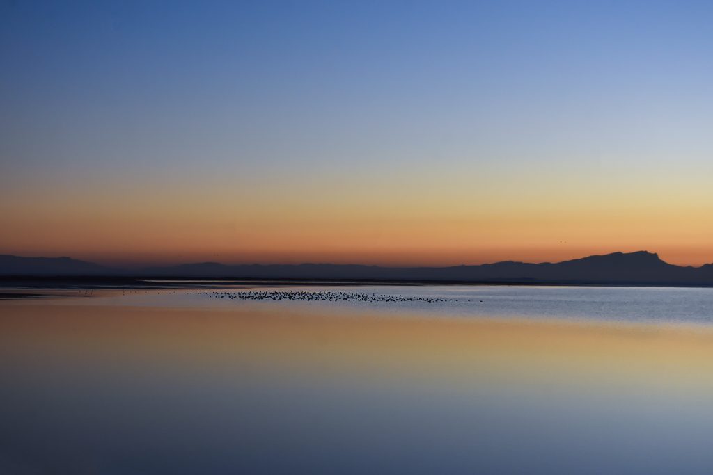 Meeghan Wetland on a Winter Day