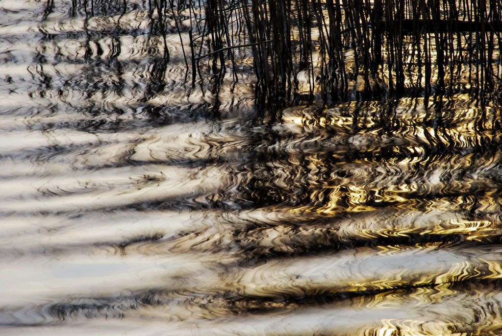 riflessi di natura