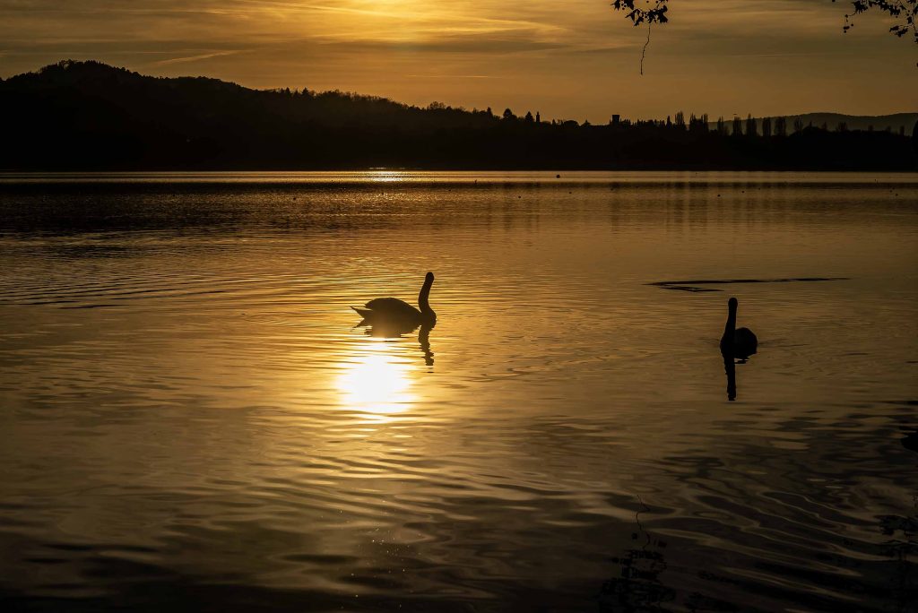 tramonto sul lago