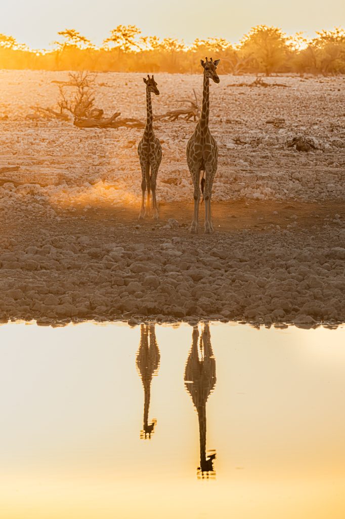 Sunset reflection
