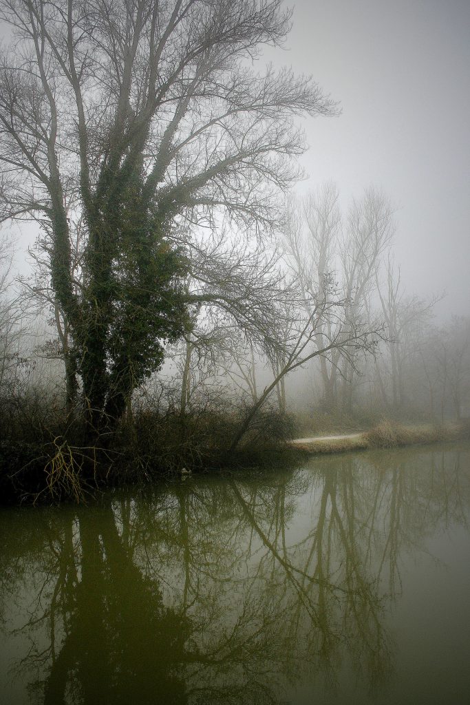 Oasi di Alberete