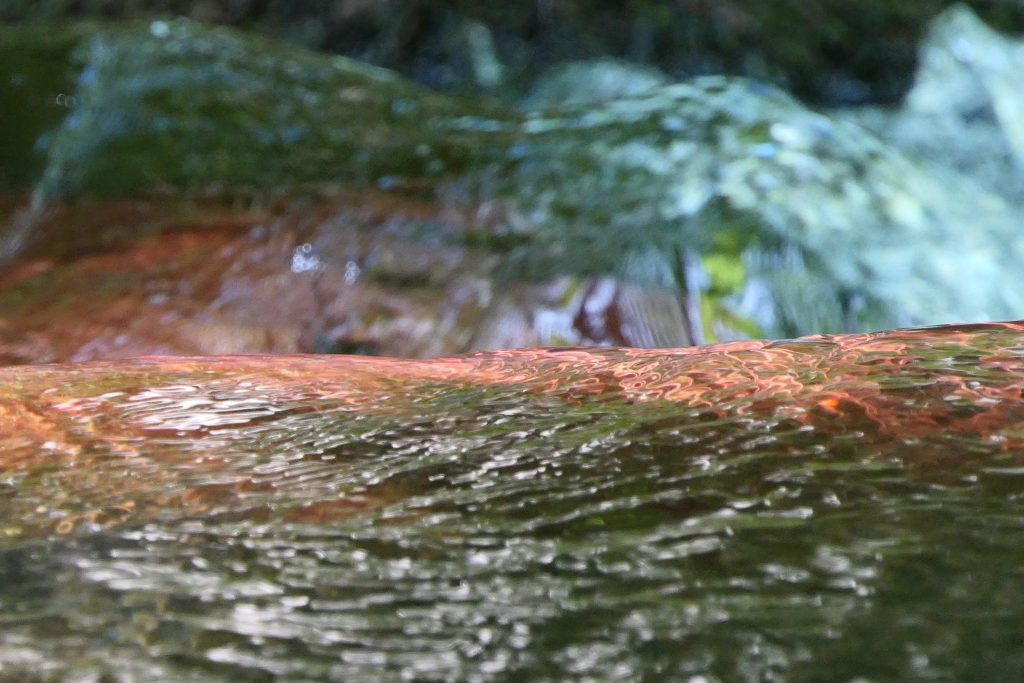 Cascata del Rio Rovigo_181