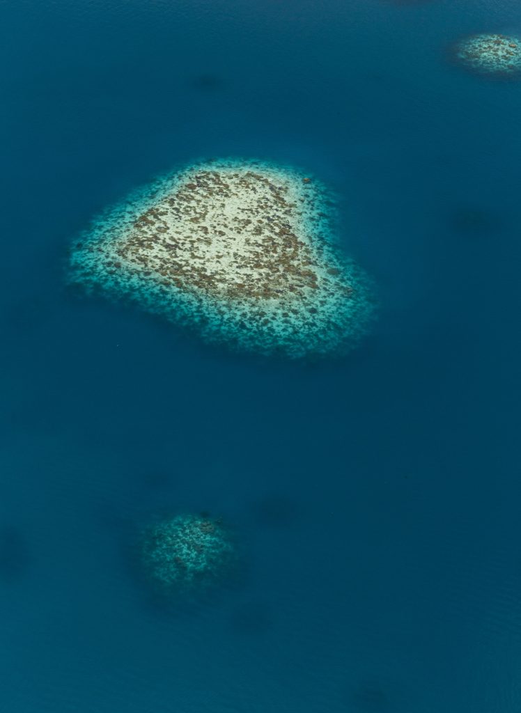 Acqua fonte d`amore