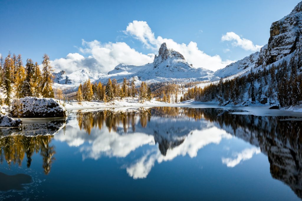 Riflessi silenziosi