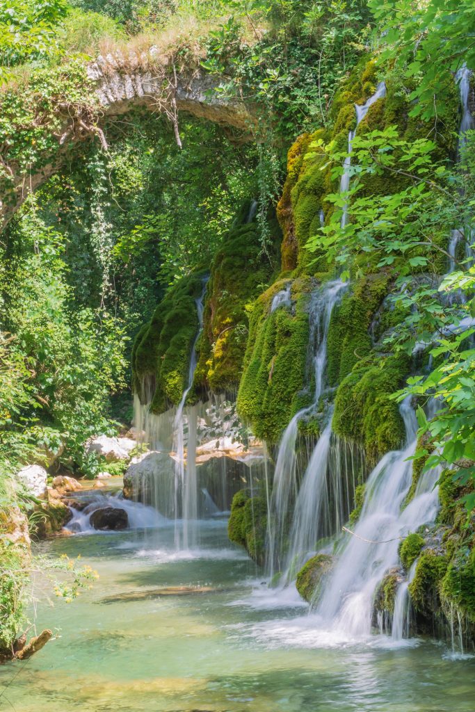 Oasi Capelli di Venere