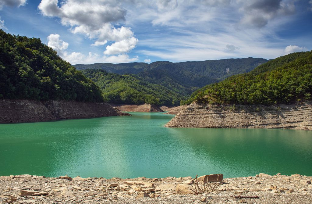 natura salvaggia