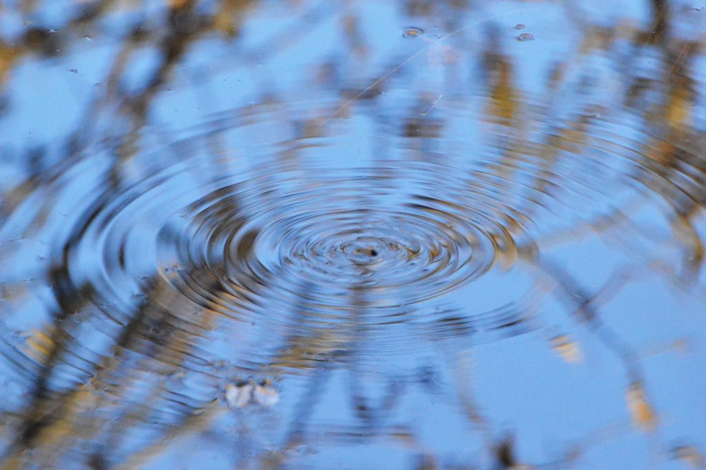 riflesso interrotto