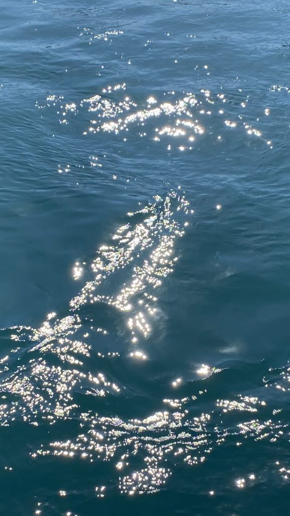 Glittering waves