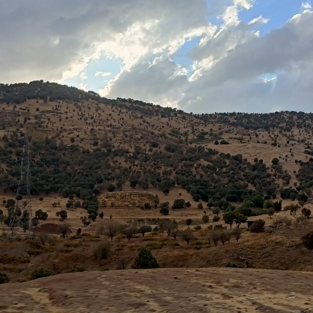 nature