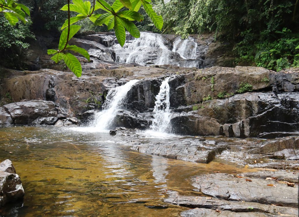 Water Fall inside Sinharaja