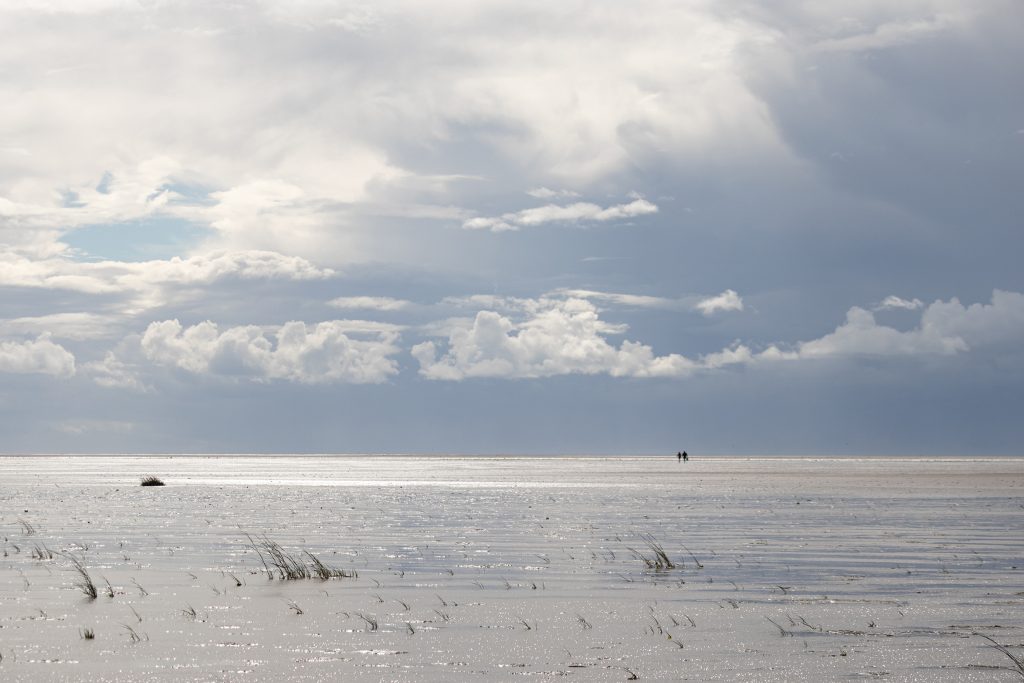 Low Tide
