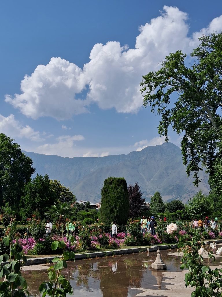 Nature’s Symphony: Flowers, Mountains, and Blue Skies . A Walk Through Heaven’s Garden . Serenity in Full Bloom