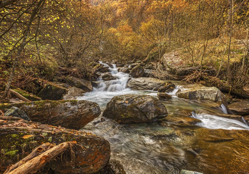 Torrente in Autunno