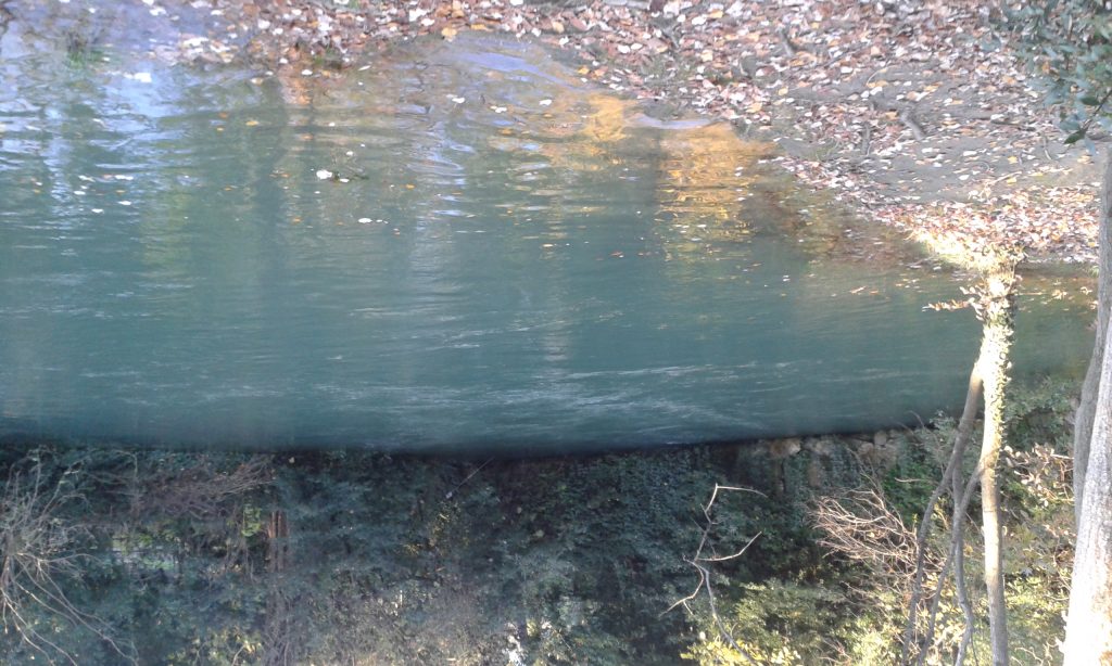 Risorgive del fiume Timavo