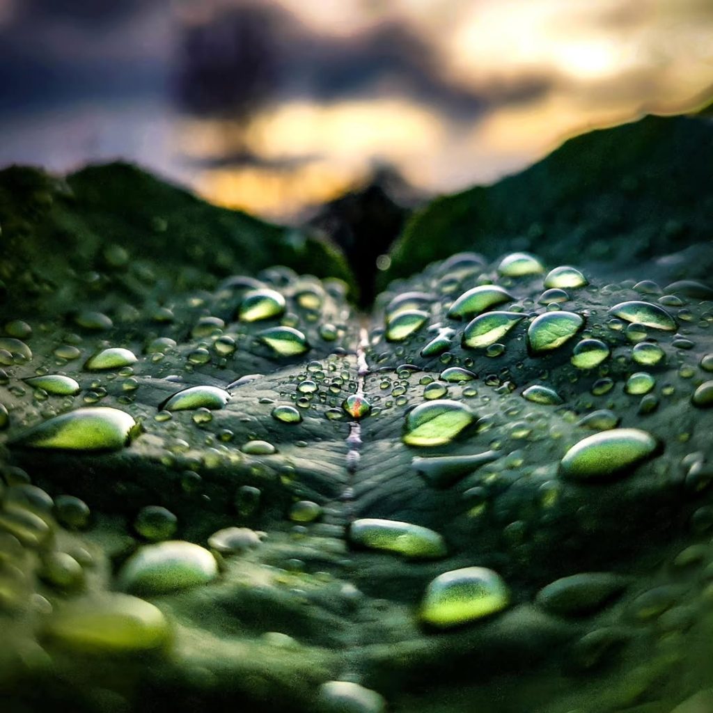 Diamonds of Mother Nature