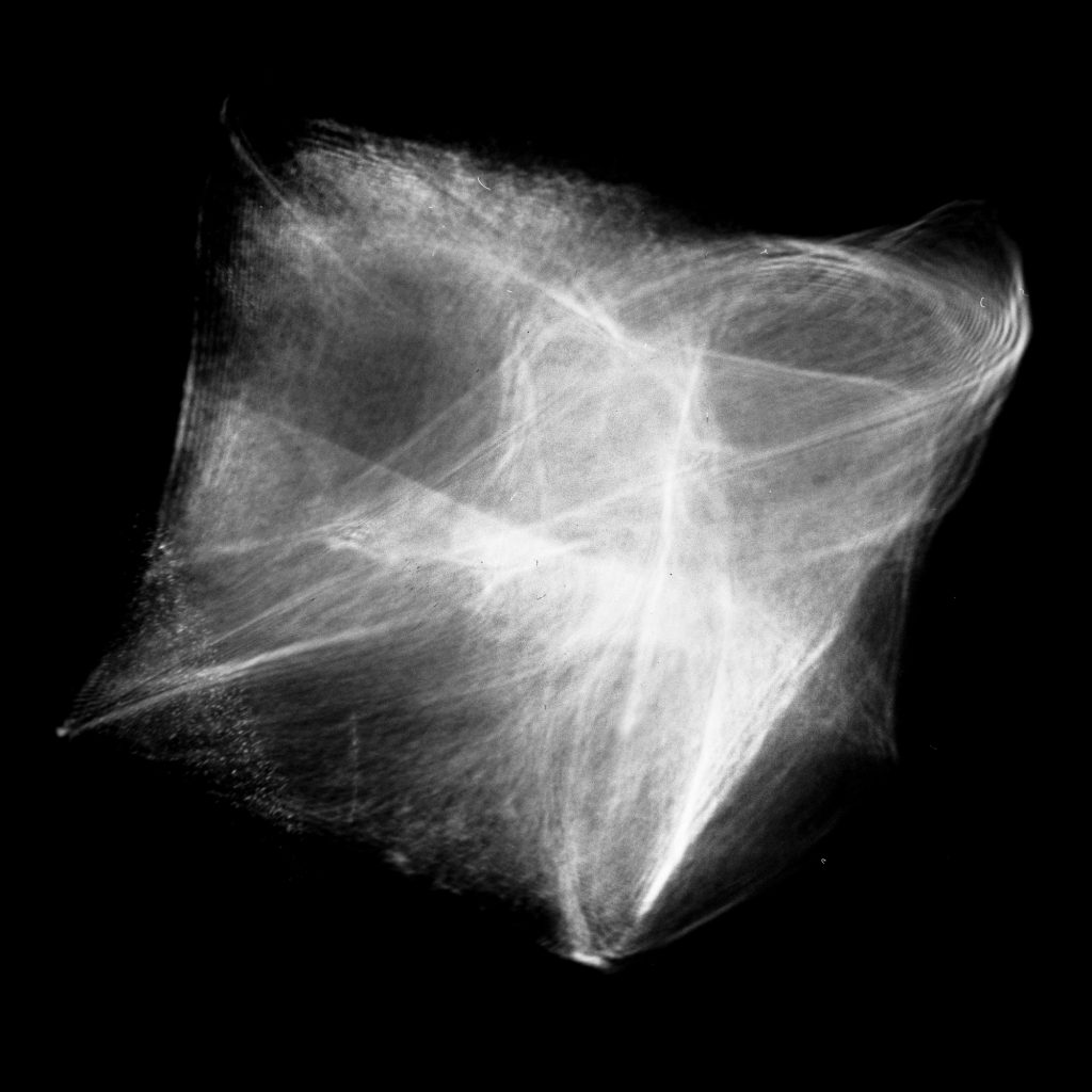 Sunburst Foraminifera