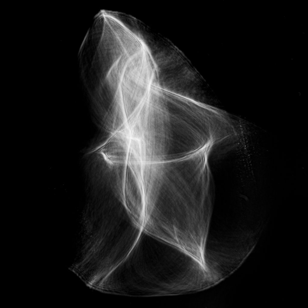 Sunburst Foraminifera