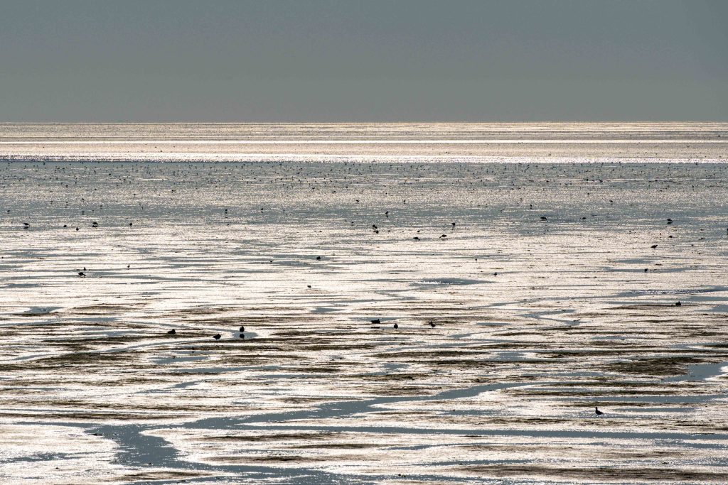 Low tide at the Wadden Sea.