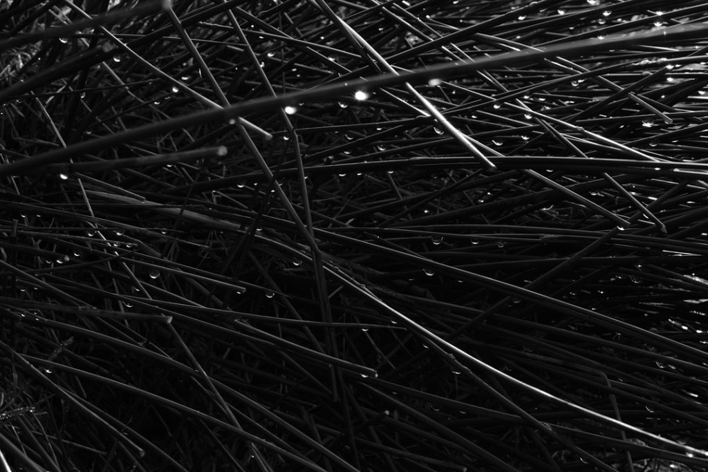 Drops