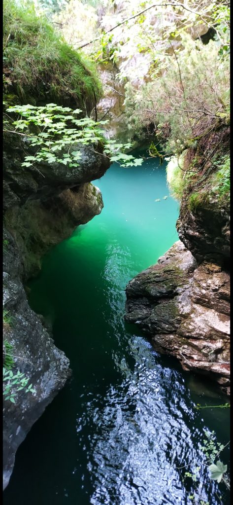 L”Immenso