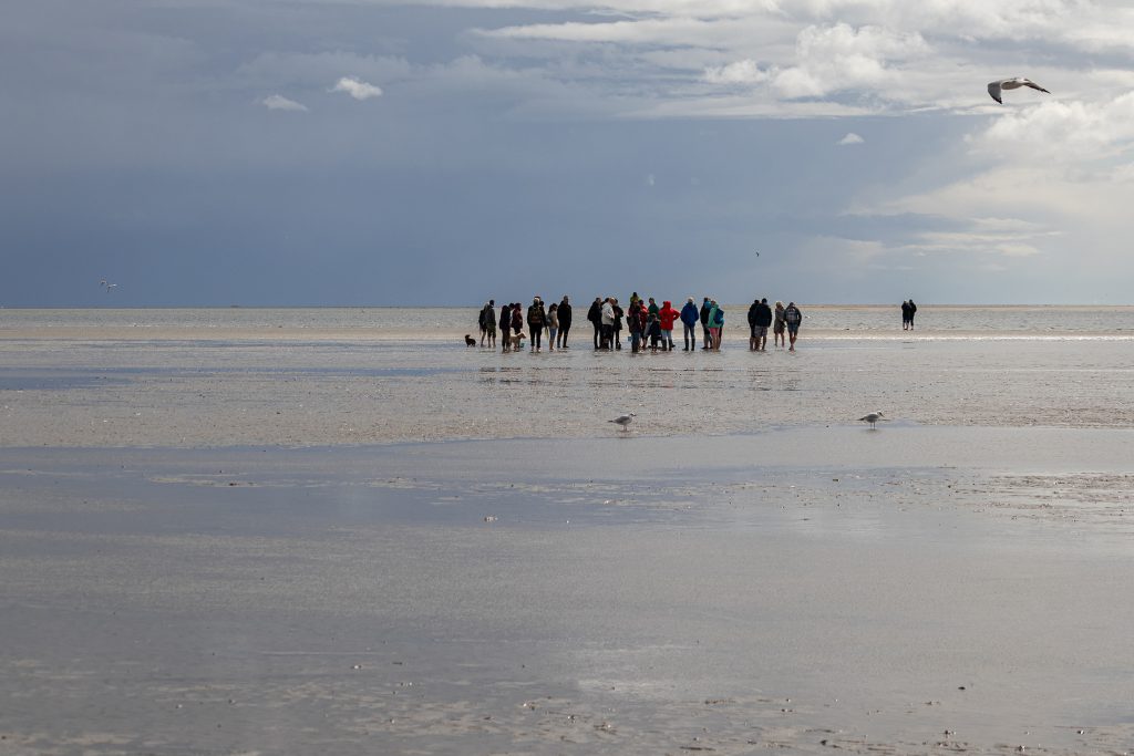 Visitors for the benefit of nature