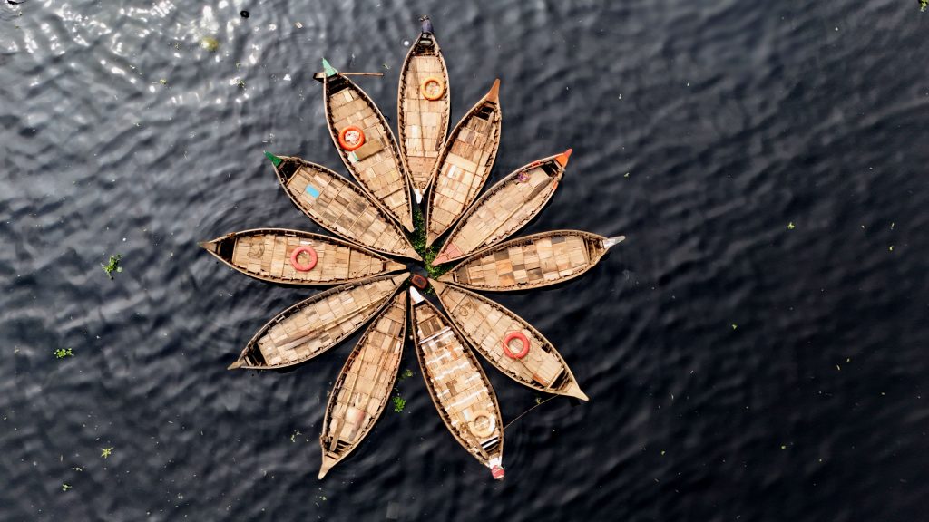 Boats Blooming Like a Lotus on Water