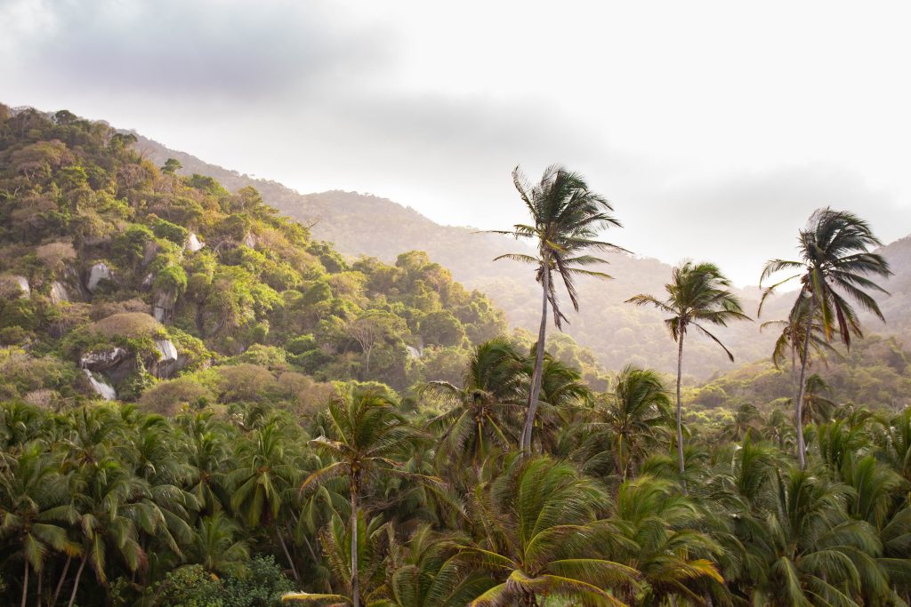 “El Parque Tayrona”, Colombia