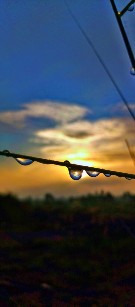 H20 with nature