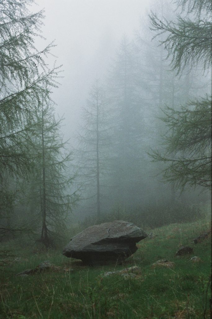 nebbia