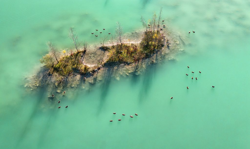 The blue Lagoon
