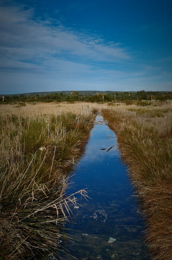 vie d’acqua