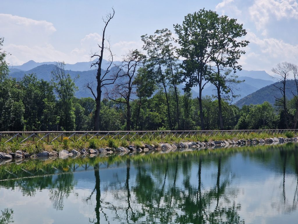 H2O Piemonte