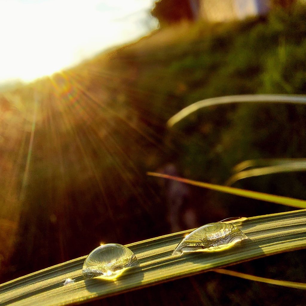 Radiance