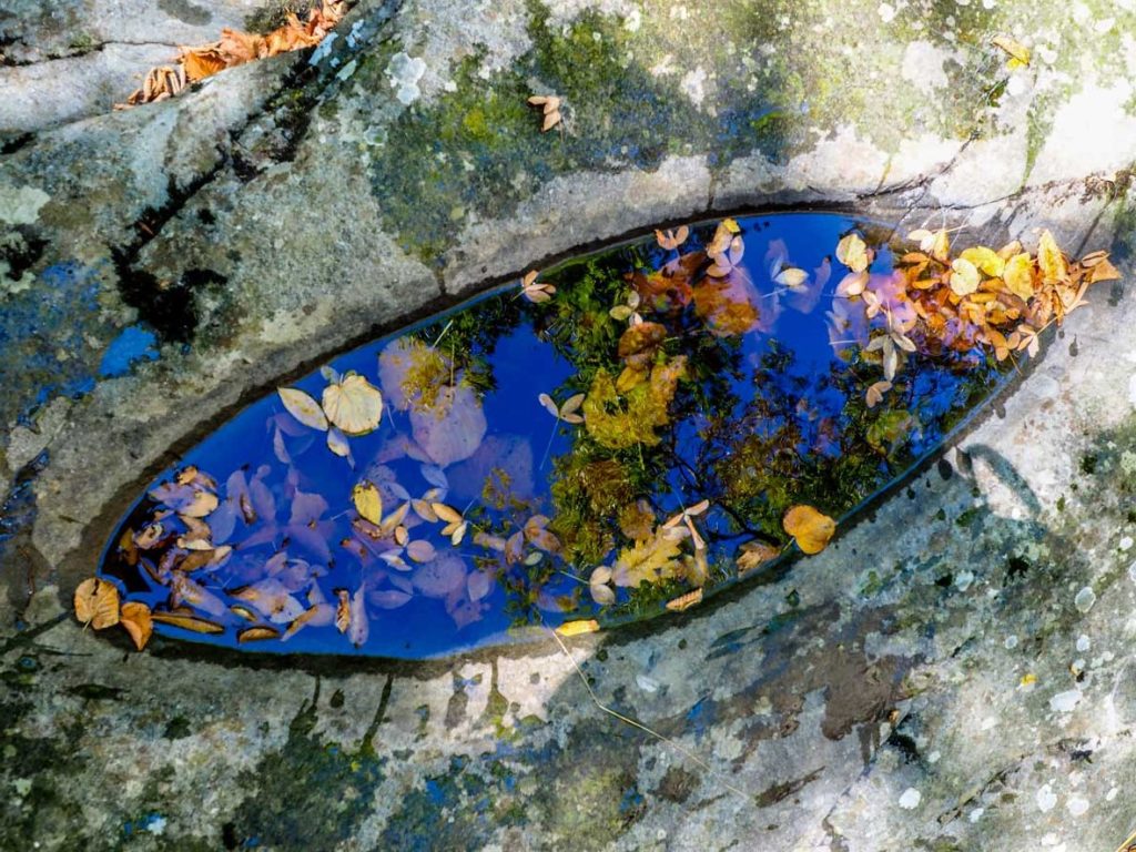 Autunno n°