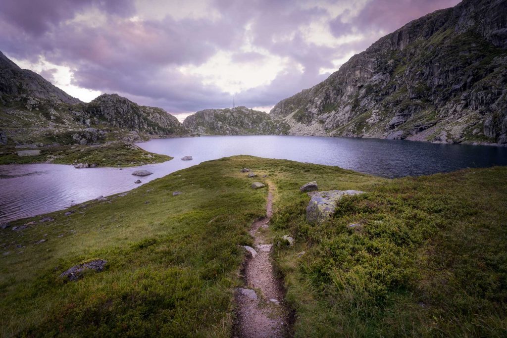 Path to life