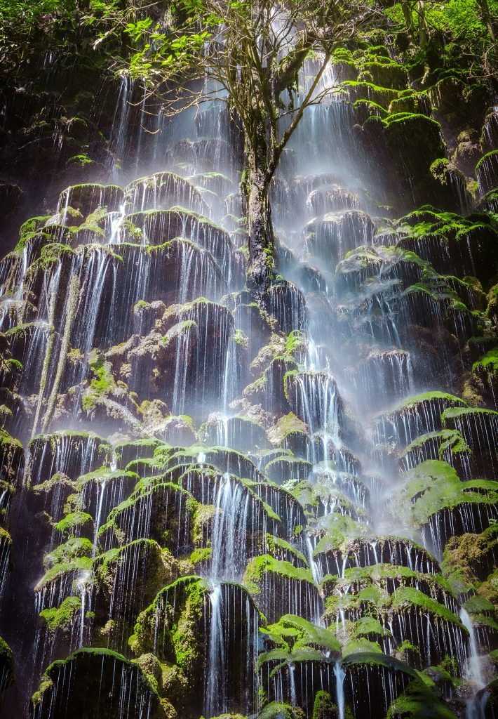 Living Falls