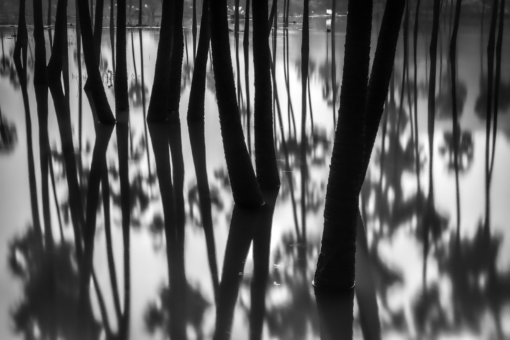 Echoes in Stillness