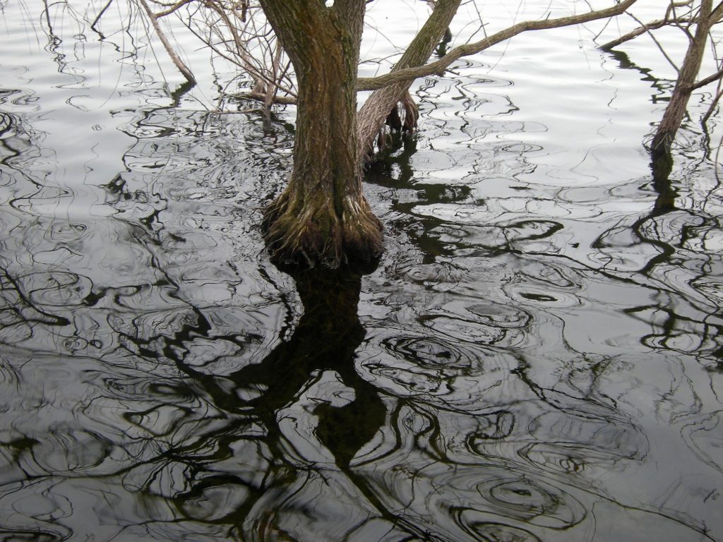 Avigliana, Lago Piccolo