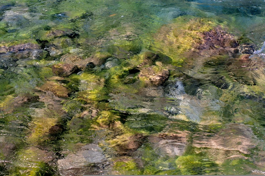 Water colors