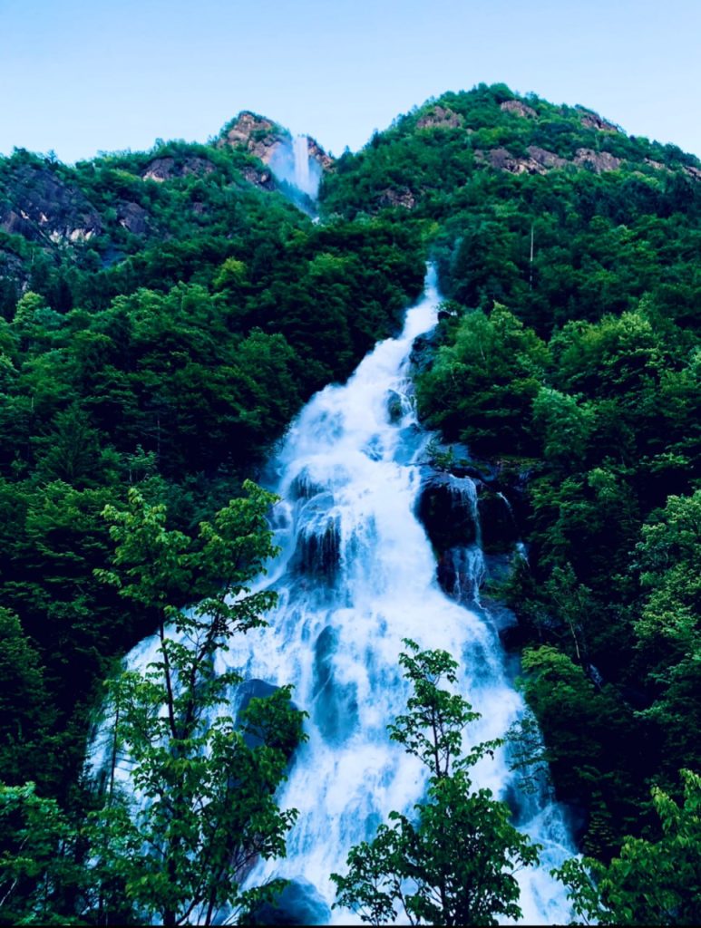 Tra acqua e verde