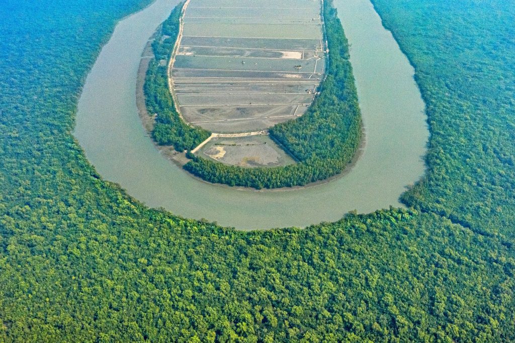 Sundarbans: A Delta of Nature’s Wonders