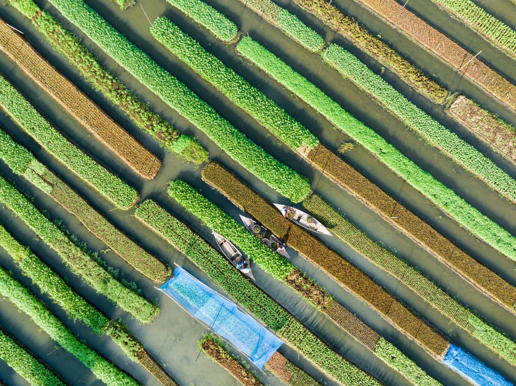 Floating farming: A fight against climate change