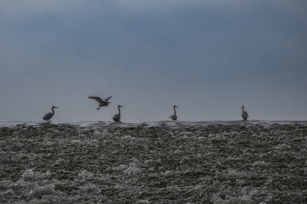 Harmony on the Edge