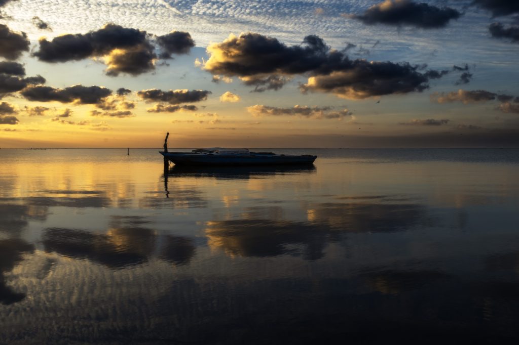 Echoes of Stillness