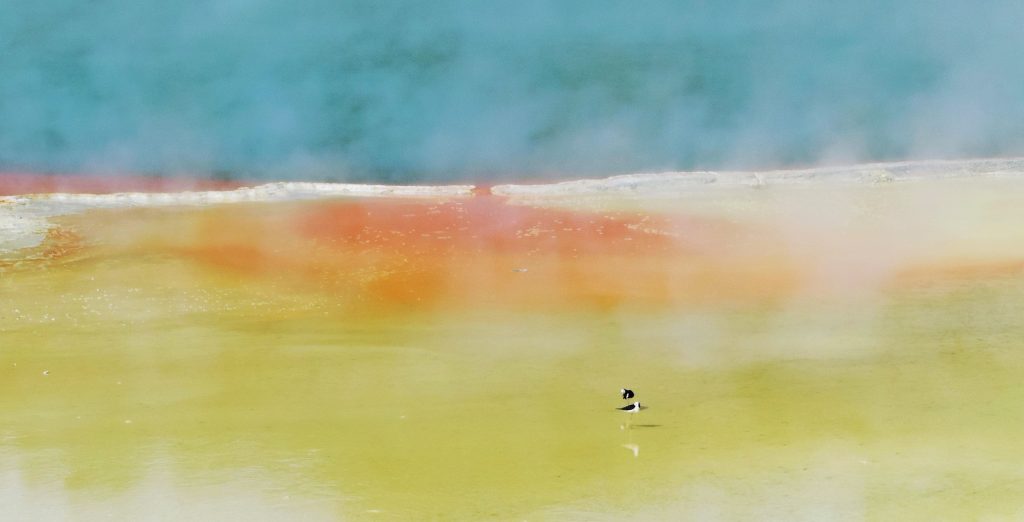 TAVOLOZZA DI COLORI